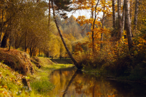 Работа 3405709