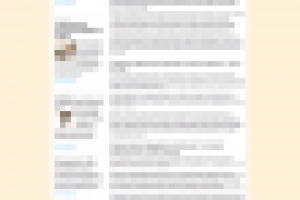 Интернет-магазин одежды для маленьких собак