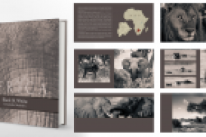 фотокнига (дизайн/обработка всех фото)