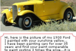 ENG-RUS. A SOFTWARE for an Internet-Shop of Car Paints