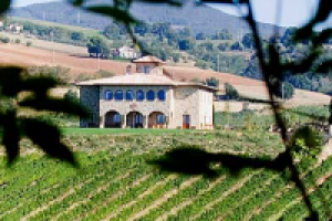 Italian-Rus. REAL ESTATE and WINE-MAKING