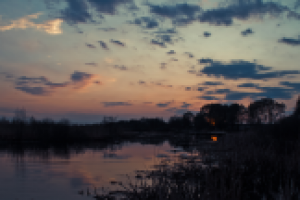 Тихий вечер