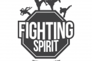 Разработка логотипа для бойцовского клуба