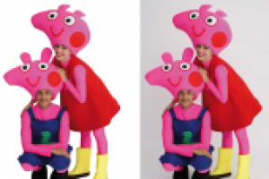 Работа 2933907