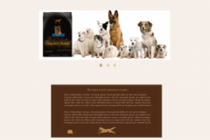 Дизайн многостраничного интернет-магазина