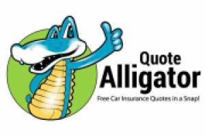 Alligator