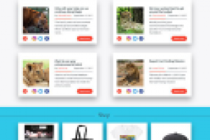 Благотворительный фонд Black Jaguar - White Tiger