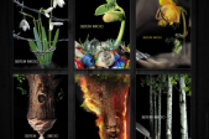 Экологические плакаты