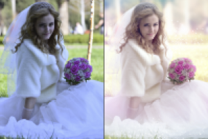 Работа 2125541