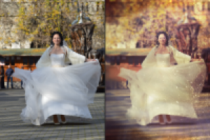 Работа 2125535