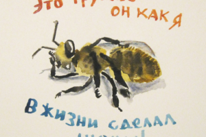 Трутень