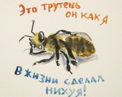 img3392173.png