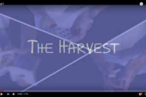 Тестовое видео