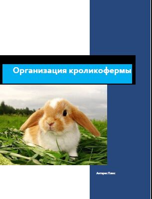 img3378284.png