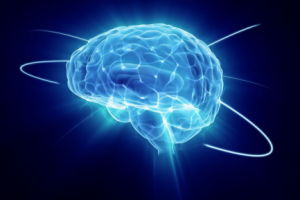 Человеческий мозг – хранилище банка данных Вселенной