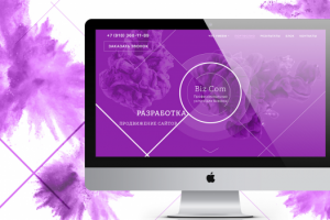 Бизком. Сайты для бизнеса