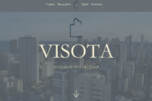 Visota. Landing page