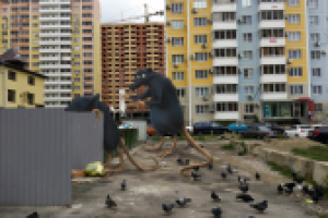 Улицы Краснодара