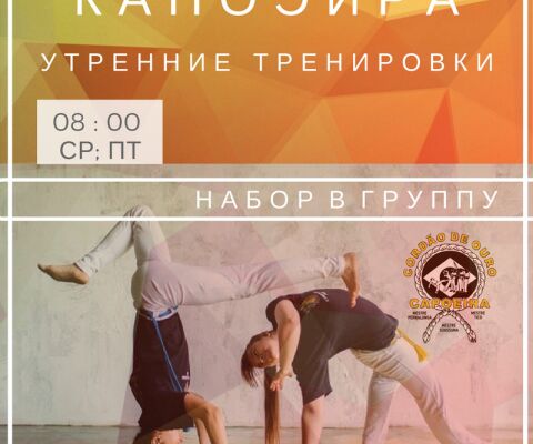 img3385154.png