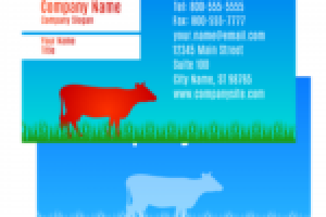 Макет визитки