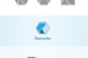 Логотип Ramedix