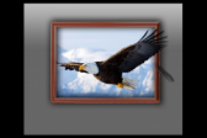 Работа 2229871