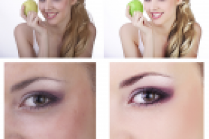 Работа 2459858