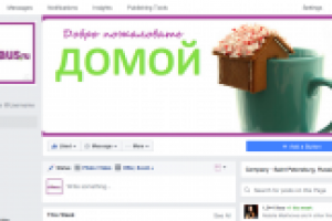 Elhaus.ru - магазин бытовой техники, комплексное продвижение