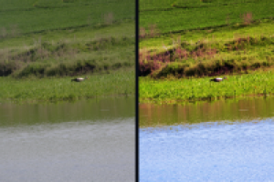 цветокоррекция