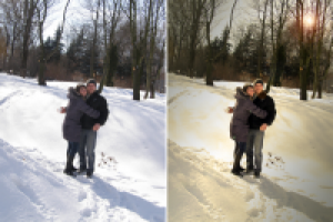 Работа 1102216