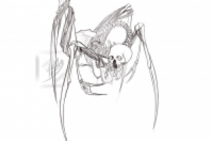 Работа 2114701