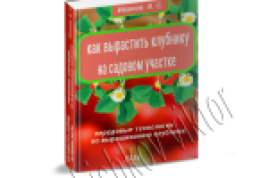 Дизайн 3d обложки для книги