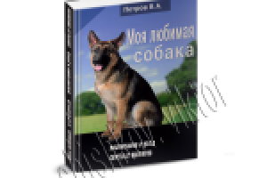 Дизайн 3d обложки для книги