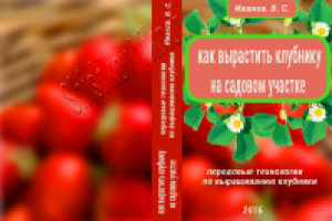 Дизайн 3d обложки для книги, разворот