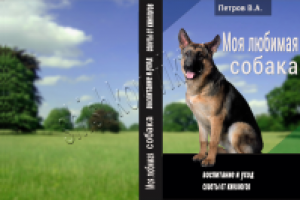 Дизайн 3d обложки для книги, разворот