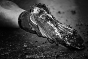 День Шторма