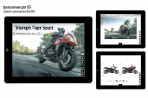 Работа 2024817