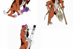 Собаки (для открыток)