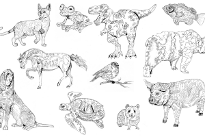 Антистресс (раскраски)