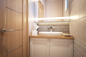 Санузел (СПБ)