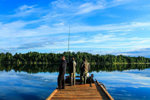 Работа 3384216