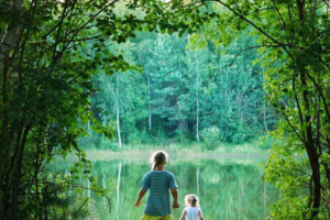 Работа 3384215