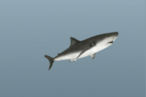 AS3 Loader для моделей 3D Studio Max