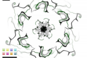 Симметрия рисования