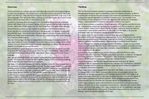 История музыкальной группы