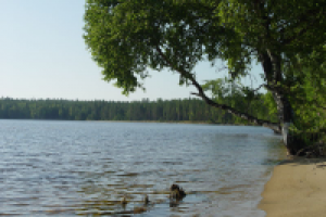 Развитие базы отдыха