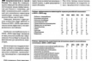 Перспективы инвестирования в Россию