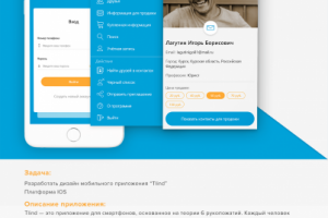 Дизайн мобильного приложения "Tlind"