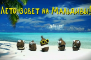 кокосы Velcom Telekom