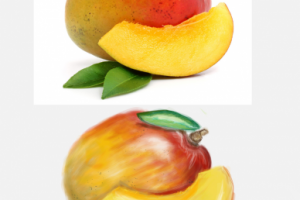 Работа 3393780